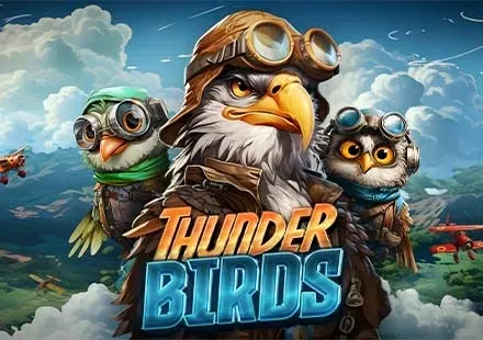 Thunder Birds screenshot